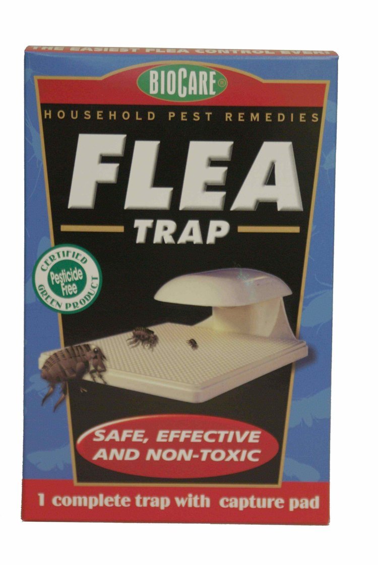 Springstar S102 Flea Trap 1Pack 11 61dHdJ4lUzL