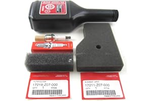 GaRcan Generator Tune Up Kit for Honda EU2000i, EU2200i Generators, Universal Fit, Polyester Material, 12oz 10W30 Oil, Spark Plug, Air Filter, Outer Filter