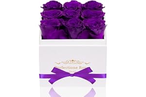 Perfectione Roses Preserved Flowers in a Box, Purple Real Roses Long-Lasting Rose Birthday Gifts for Her Anniversary Mother's Day Valentine's Day Christmas Day