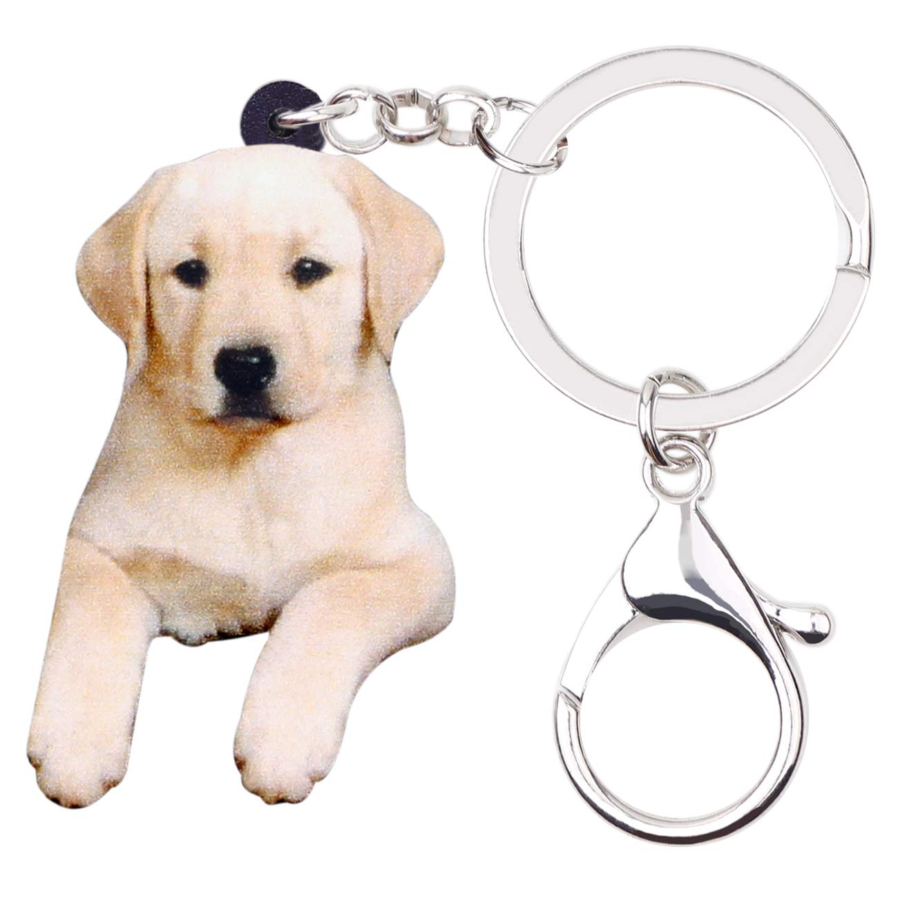 BONSNY Acrylic Labrador Keyring For Women Girl Dog Keychain Key Bag Phone Charm Jewellery Gift (Beige)