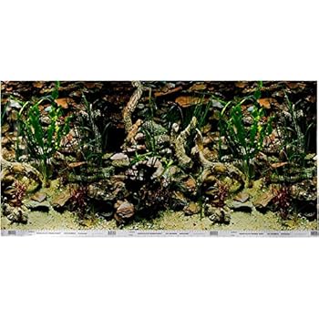 Amazon Com Pen Plax Dbc2448cb Petco Double Sided Aquarium