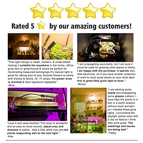 4 KINGBO+Spectrum+Gooseneck+2+Switch+Replaceable