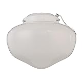 Westinghouse 7785300 LED Schoolhouse Indoor/Outdoor