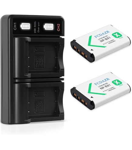 Amazon.com : Kastar 1-Pack NP-BX1 Battery and AC Wall Charger