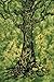 Popular Handicrafts Tapestry Wall Hanging Hippie Tree of Life Bohemian Hippy Psychedelic Design Indian Tapestries Bedspread 54x84 Inches,(140cm x 215cm) Green