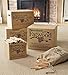 Plow & Hearth 35 LB Boxed Fatwood Fire Starter, Organic Kindling Sticks, Non Toxic All Natural Firestarters for Wood Stoves Fireplaces Campfires Fire Pits, Easy Ignition Fat Wood