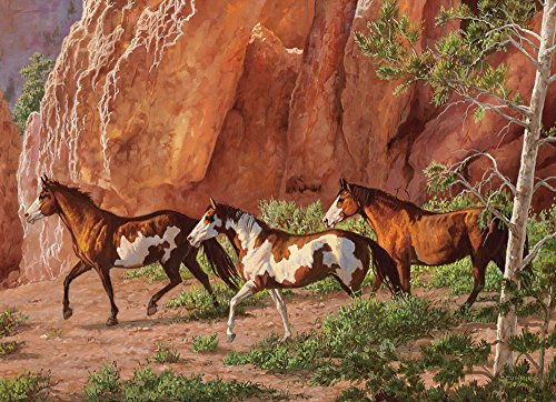 COBBLE HILL Horse Canyon Jigsaw Puzzle (1000 Piece)