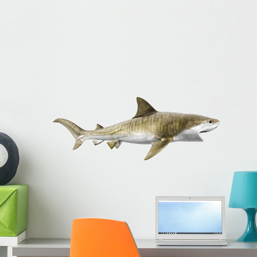 Wallmonkeys Tiger Shark Wall Decal Peel and Stick Graphic (24 in W x 12 in H) WM149940