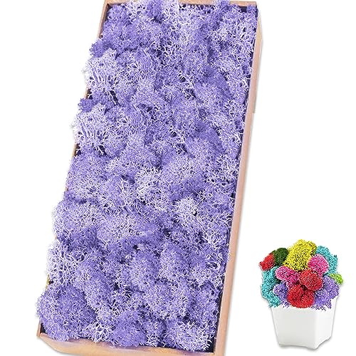 TCYPUHL Preserved Moss for Crafts Light Purple Reindeer Moss for Potted Plants, Craft Decorative Moss Decor for Wall Art, Dried Moss(1.1 lb, Light Purple) at Amazon