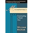 Metaphysics: Constructing a World View (Contours of Christian Philosophy)