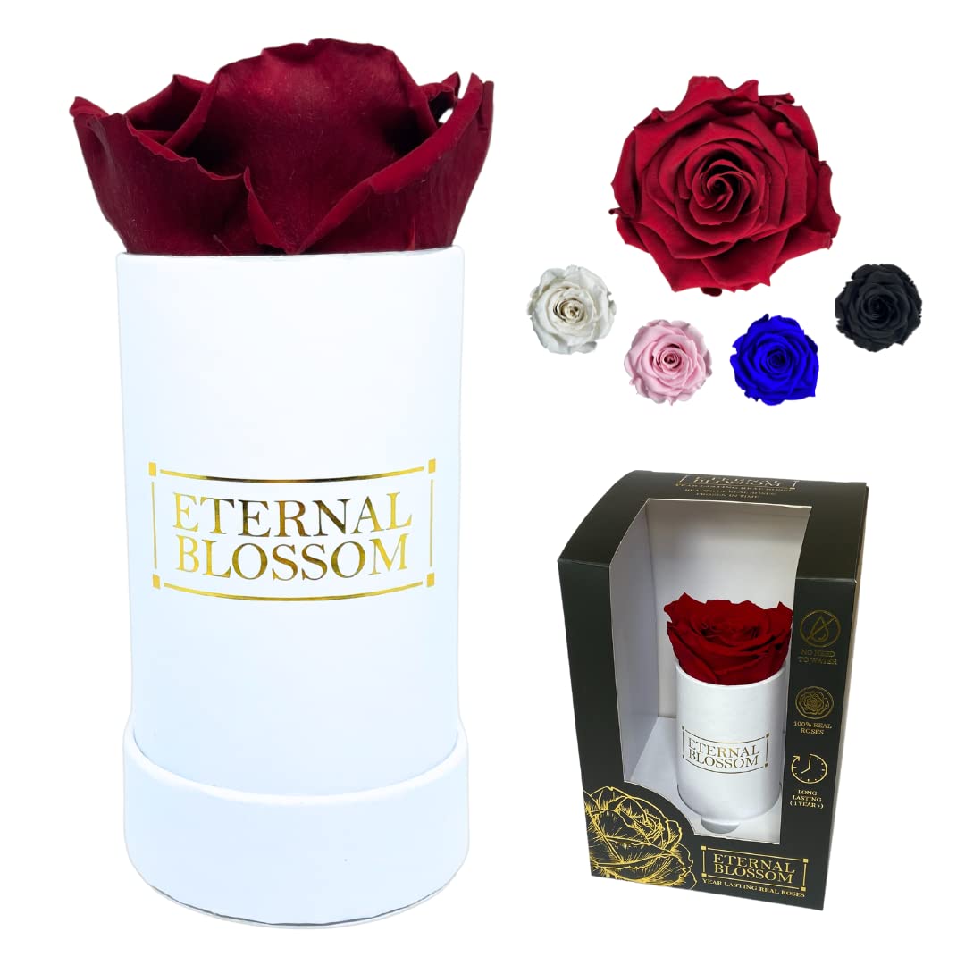 Eternal Blossom Preserved Real Infinity Rose | Eternal Rose That Lasts Over A Year White Box | With Gift Box (Rouge Red)