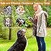 Dog Training Collar 1000ft Remote 2018 Upgraded Dog Shock Collar Rechargeable & Waterproof with Beep Vibration Harmless Safe Electronic Collar for Small Medium Large Dogs