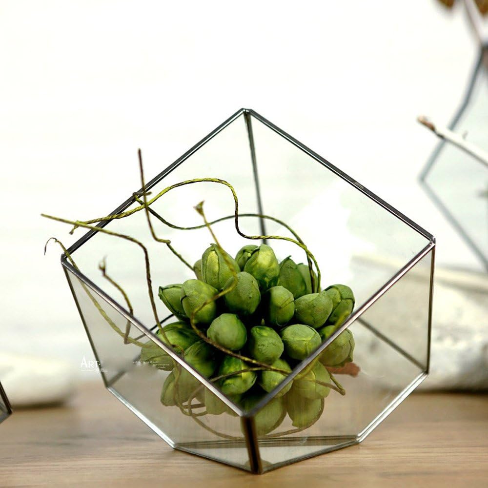 Noah Decoration Cube Succulent Plant Glass Terrarium/Decorative Votive Candle Holder for Home and Wedding Indoor and Outdoor Decoration