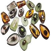 18 pcs Insect Amber Fossils, BOSOIRSOU Fossil Pendants, Different Insect Specimen, Bug Preserved in Resin, Educational and Scientific Amber Collections - Random Patterns