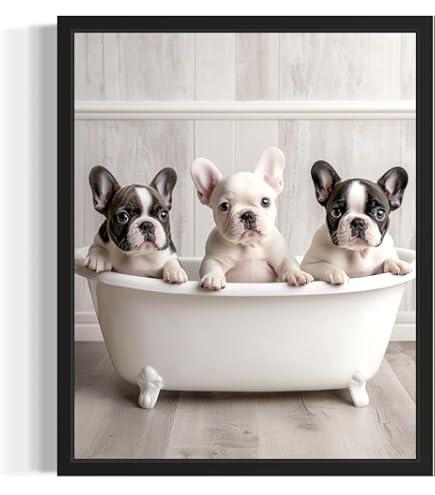 Amazon.com: The Oliver Gal Artist Co. Animals Wall Art Framed