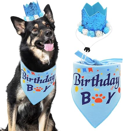 amazon dog birthday