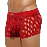 Arjen Kroos Men's Sexy Trunks Sheer Mesh Underwear Novelty Low Rise Lingerie
