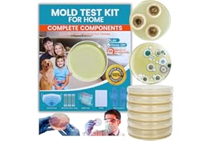 MOVMOVE Mold Test Kit for Home – 6 Simple Detection Tests, DIY Mold Detection & Air Quality Tester, Indoor Surface & HVAC Testing Kits, Includes Complete Accessories, Lab Device for Fast Results