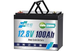 HRBEENERGY 100Ah LiFePO4 Battery 12.8V Lithium Battery Built-in 100A BMS, Rechargeable Lithium Iron Phosphate Battery, 8000+ Deep Cycles 1280Wh Battery Waterproof for RV, Solar, Boat, Marine, Trolling Motor