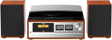 bush turntable radio system