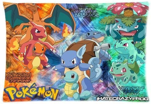 Hot Sale Custom Pokemon Poster Zippered Pillow Case 20x30 (Twin Sides Print)