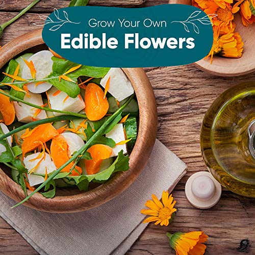 100 Edible Flower Seeds for Planting Certified Organic Seeds 9
