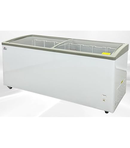 Amazon.com: Chest Freezer Glass Door sliding Commercial Ice Cream