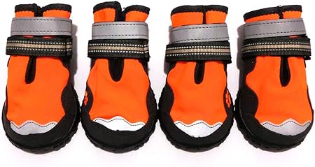 xanday dog boots