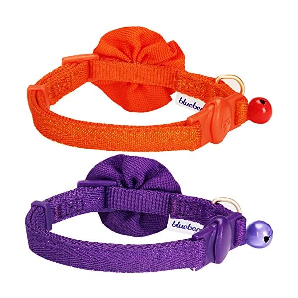 fancy breakaway cat collars