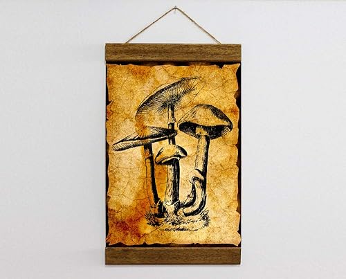 Amazon Com Vintage Mushroom Illustration Botanical Plant Wood