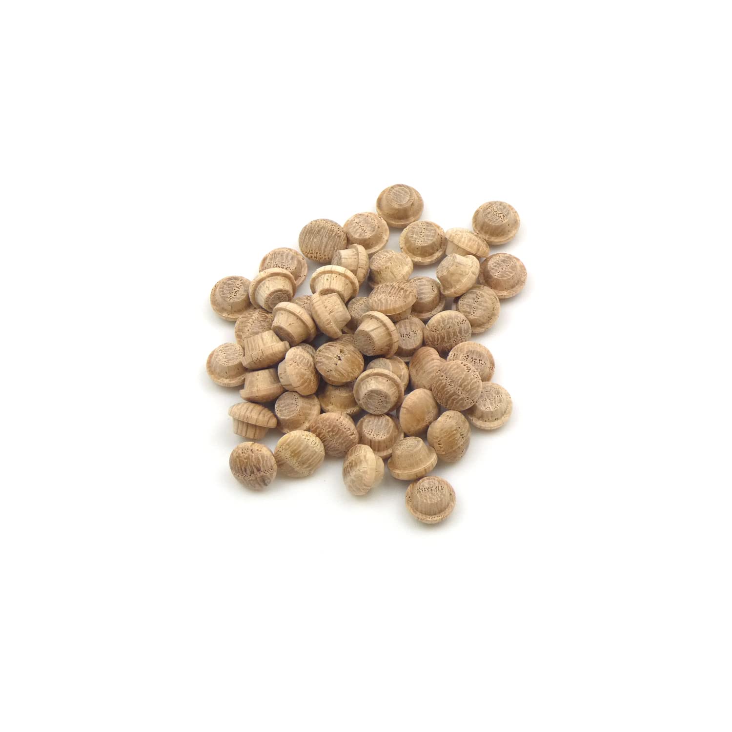 Oak Mushroom Plug 1/4" - 6.5mm - Pack of 50