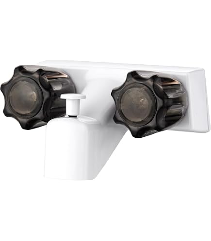 Laguna Brass RV Tub Shower Diverter Valve With Hand Shower - Two Handle Non-Metallic Set In White