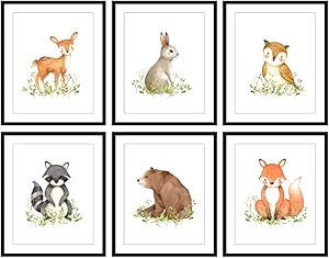 Bestbuddy Pet Set of 6 (8X10) Unframed Woodland Animals Deer Bunny Owl Raccoon Bear Fox Nursery Art Prints Set Kids Baby Boy Girl Room Wall Decor BBPAP005d