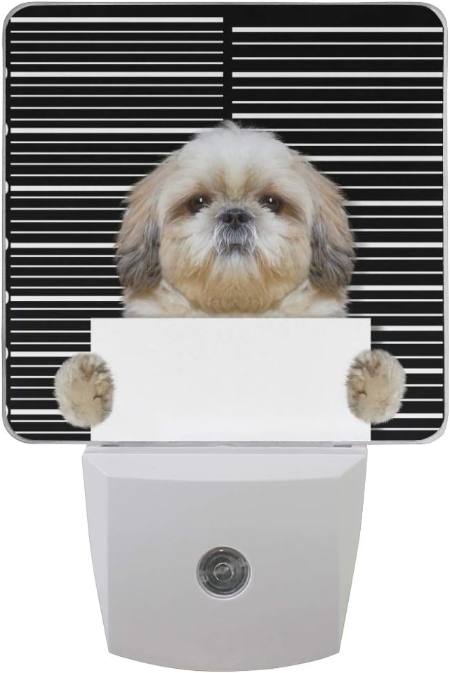 luce di lettura per libri in letto plug in