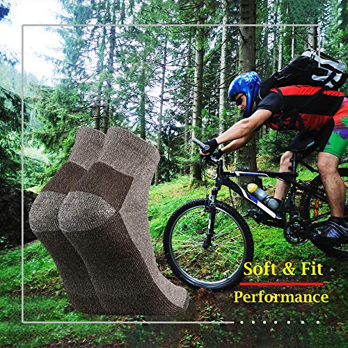 Ortis Merino Wool Moisture Wicking Outdoor Hiking Cushion Low Cut Socks