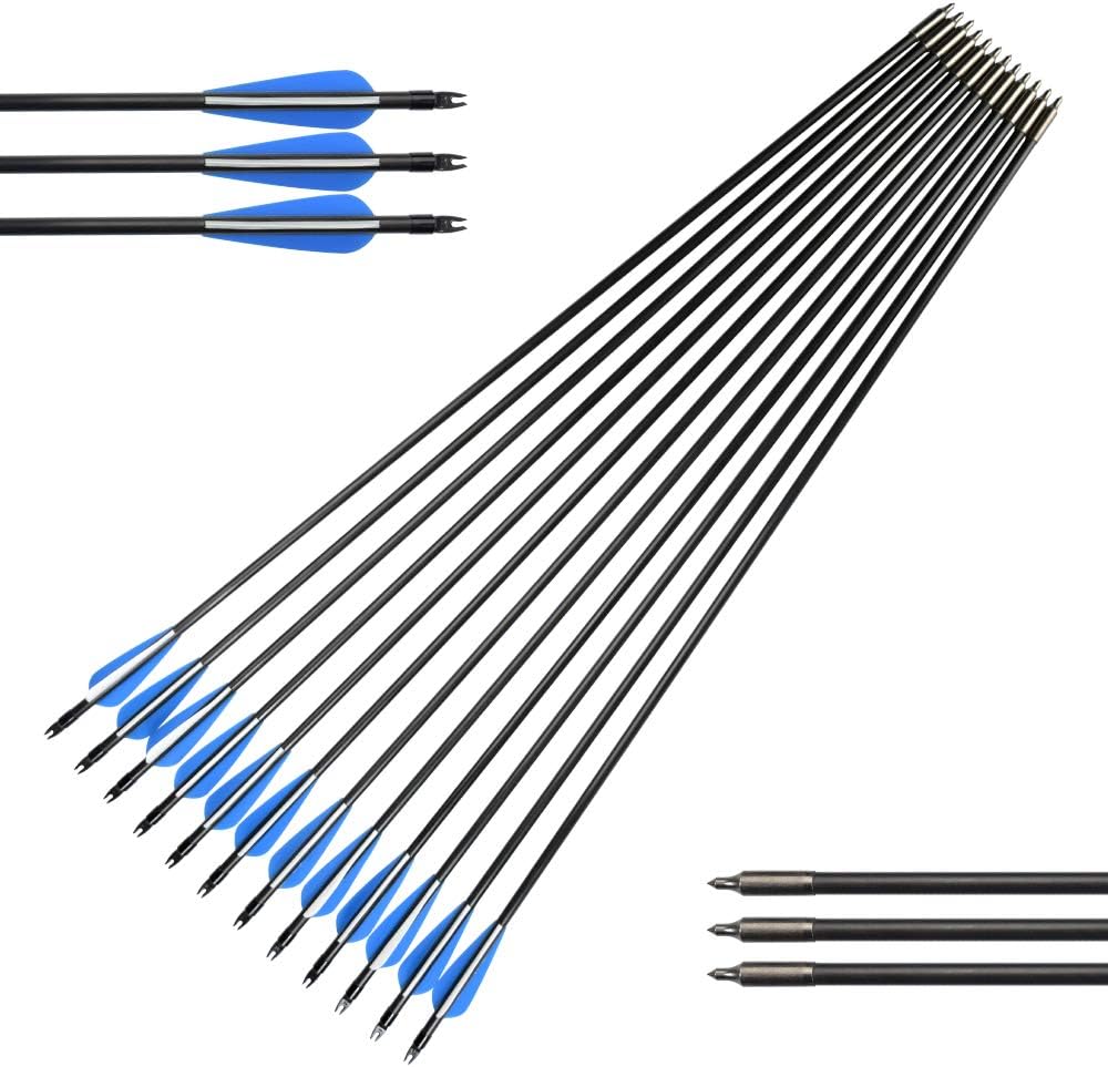 Archery 28inch Fiberglass Arrow with Replaceable Arrowhead Spine 460 for Compound Bow Hunting and Practice Hunting