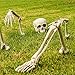 Halloween Haunters Life Size Realistic Groundbreaker Skeleton Bones Prop Decoration - Scary Plastic Body Parts Skull, Hands, Feet, Arms, Legs with Lawn Stakes - Graveyard Tombstone Haunted Grave