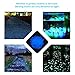 VERKB 100pcs Glow in the Dark Stones, Garden Pebbles Rocks for Outdoor, Walkway, Window, Yard Grass, and Fish Tank, Valentine's Day Dating Decoration (Light Blue)