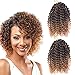3pcs/Pack 10'' Afro Kinky Twist Hair Crochet Braids Ombre Purple Braiding Hair Synthetic Marlybob Curly Crochet Hair Pieces (T1B/PUR)
