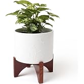 LA JOLIE MUSE Ceramic Pot for Plants, 8 Inch Indoor Planter with Stand | Decorative Plant Pot with Wood Stand and Drainage Ho