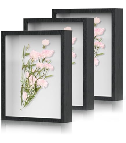 5x7 आकार के दो शैडो बॉक्स फ्रेम का पैक – सूखे फूल, पदक, तस्वीरें और अन्य वस्तुएं प्रदर्शित करें