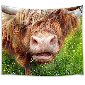 Close up of Grass Chewing Highland Cow on a Green Meadow which Tries to Look Through its Head of hai - Fabric Wall Tapestry Home Decor - 51x60 inches