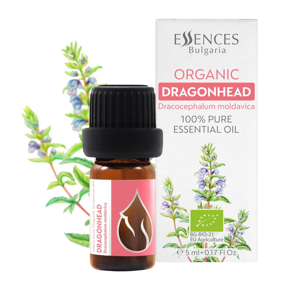 Essences Bulgaria Organic Moldavian Dragonhead Essential Oil 5ml | Dracocephalum Moldavica | 100% Pure and Natural | Undiluted | Therapeutic Grade | Family Owned Farm | Steam-Distilled | Non-GMO