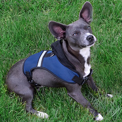 Pets First Arizona State Harness, Large