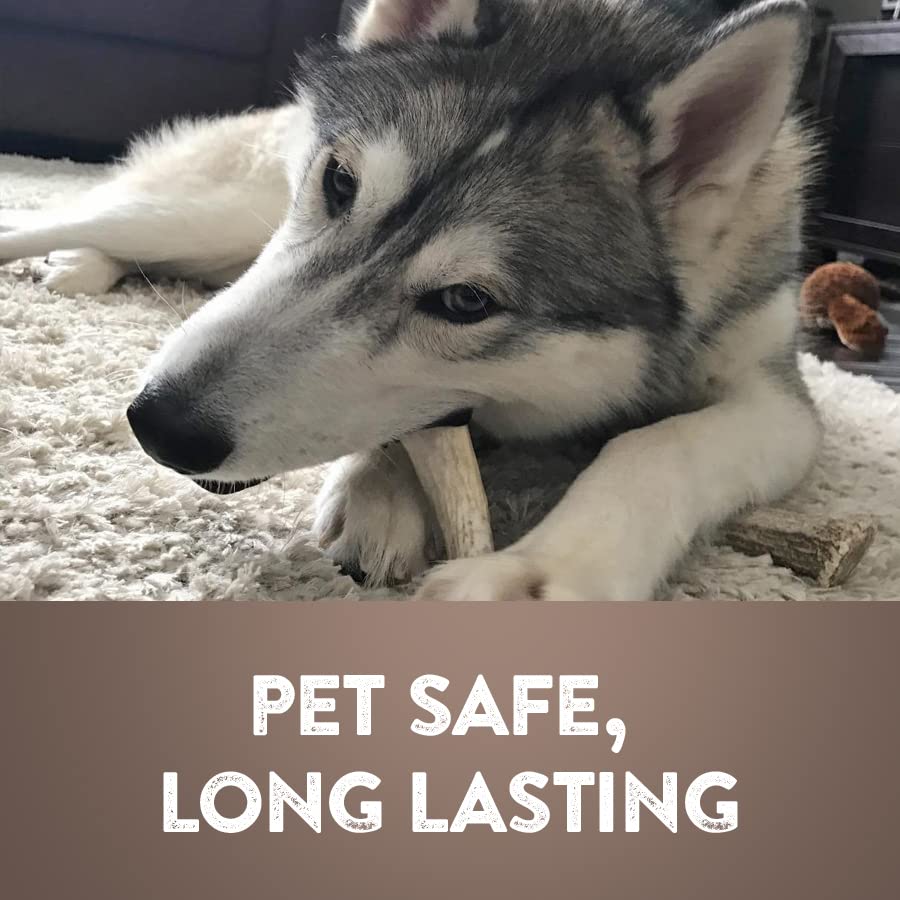 WhiteTail Naturals Premium Whole Elk Antlers for Dogs (1 Pound Pack