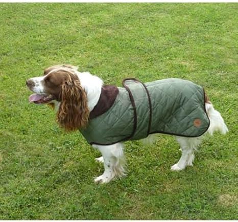 country dog coats