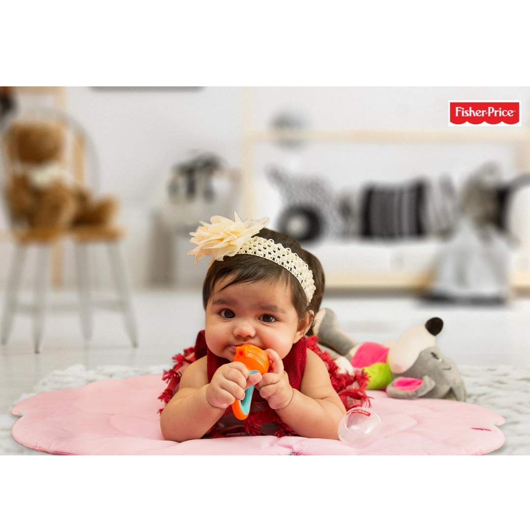 fisher price silicone food nibbler