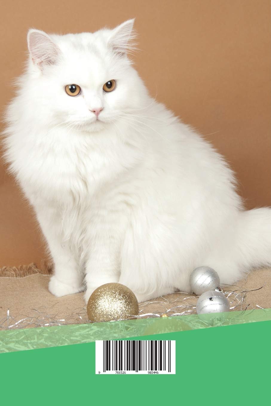 Buy British Longhair Cat Presents Cat Care Guide Workbook British