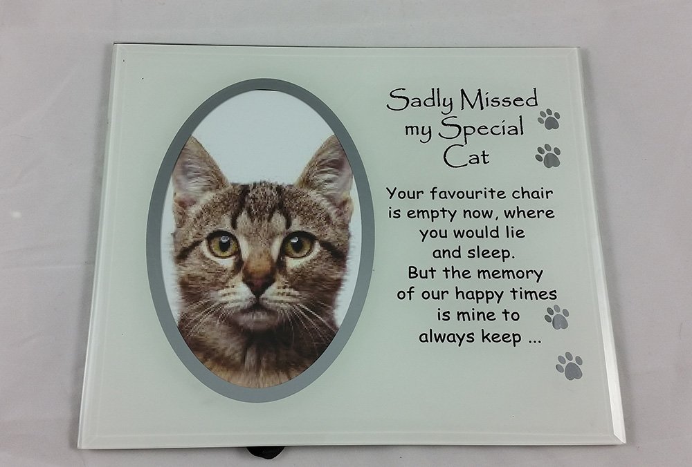 Earth Angel Grave Care Sadly Missed My Special Cat Memorial Photo Frame