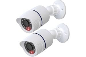 WALI Dummy Fake Camera, Surveillance Security CCTV Dome Camera, Indoor Outdoor Camera, with One LED Light, Security Alert Sti